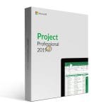 Project 2019 Professionnel