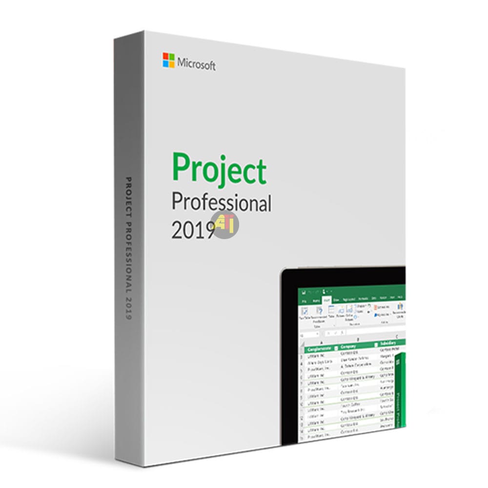 Project 2019 Professionnel