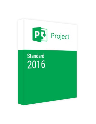 Project 2016 Standard