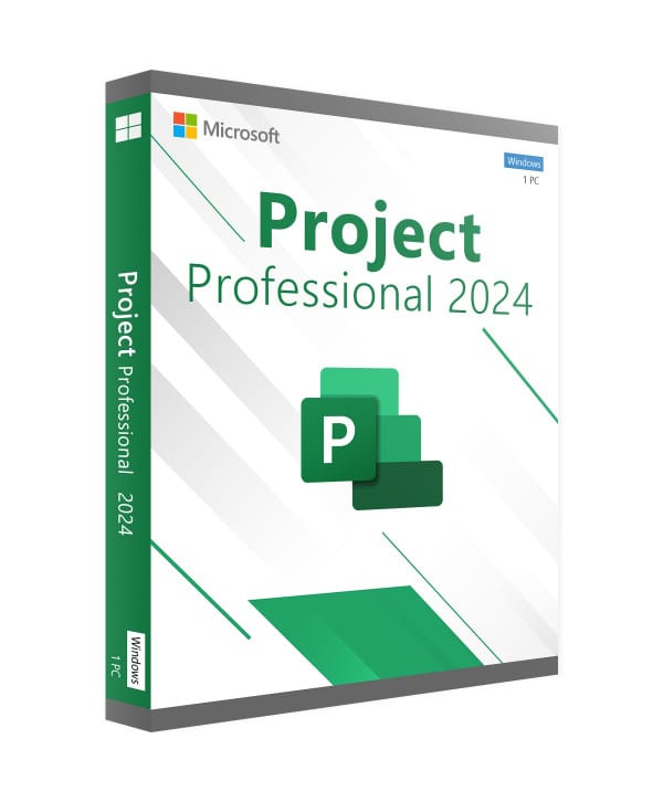 Project 2024 Professionnel