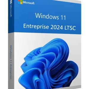 Windows 11 Entreprise 2024 LTSC